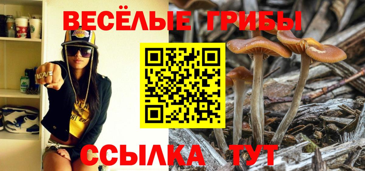 Галлюциногенные грибы GOLDEN TEACHER Вязники